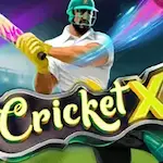 cricketX img cricketX